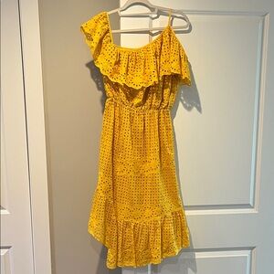 Joie Sunlit Asymmetrical Eyelet Dress